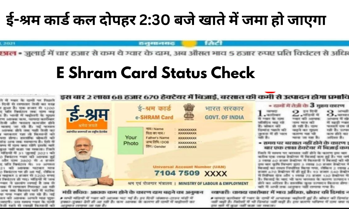 ई-श्रम कार्ड कल दोपहर 2:30 बजे खाते में जमा हो जाएगा E Shram Card Status Check